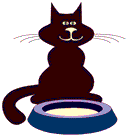 chat.gif