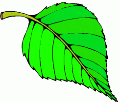 feuille.gif