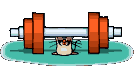 halterophilie.gif