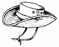 hat.gif