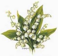 muguet.jpg