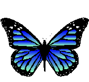 papillon.gif