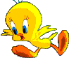 serin.gif