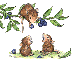 souris3.gif